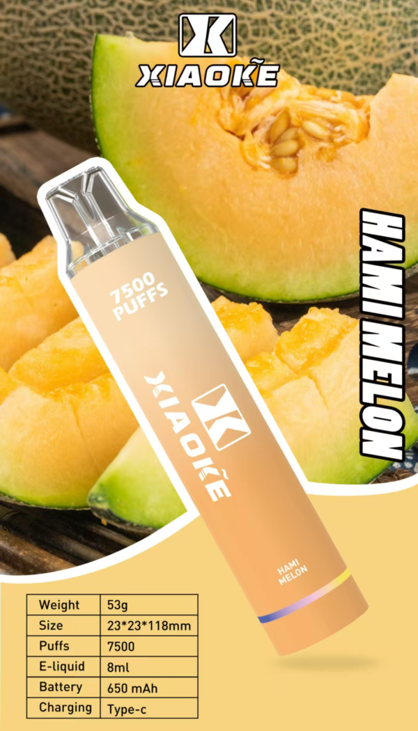 微信图片_20250528161317 梟客抛棄式7500口 ✨可充電🔋限時活動 💖女生首選【滿7送1】